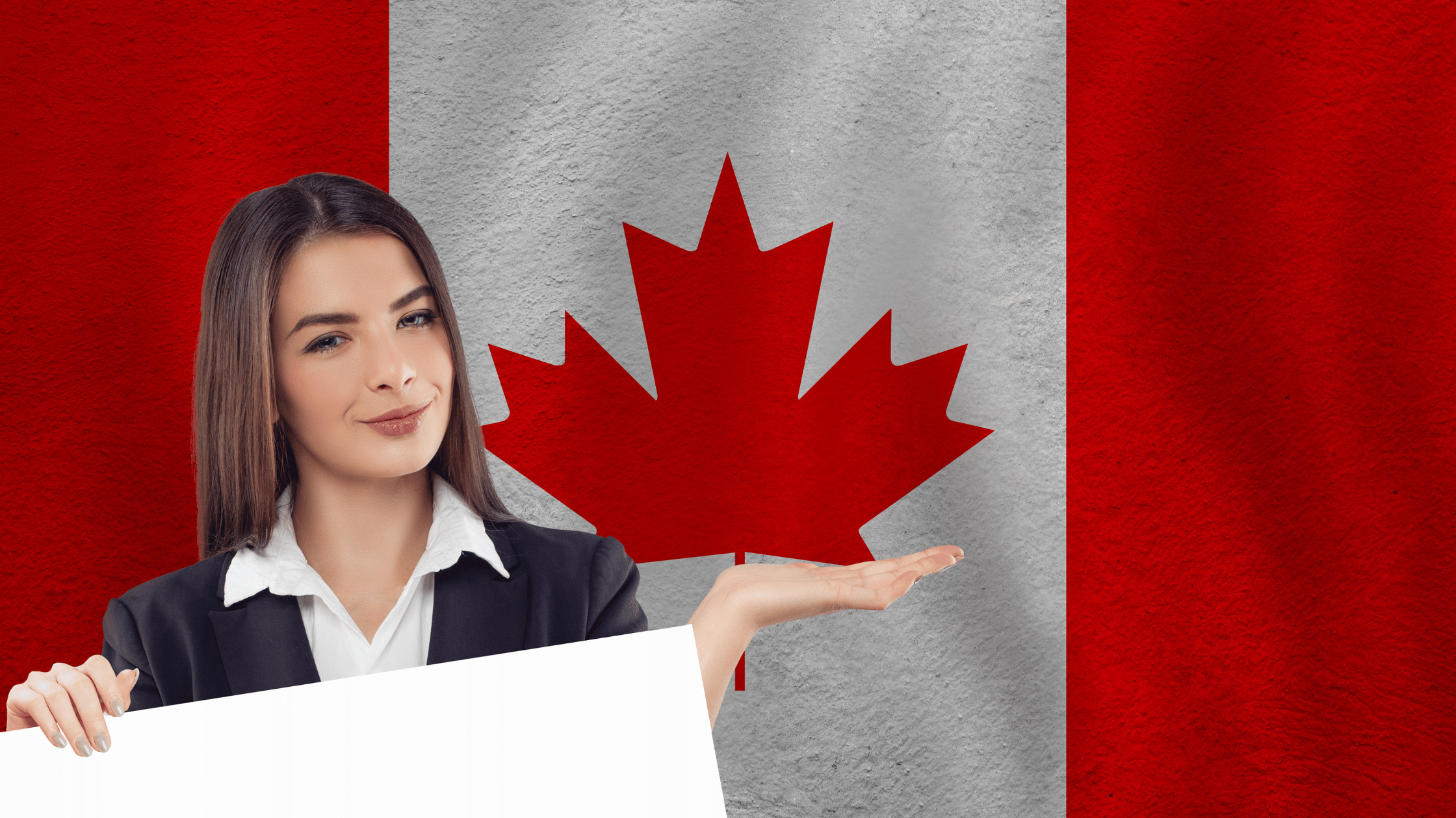 Canada Immigration Lawyers In Niagara Falls